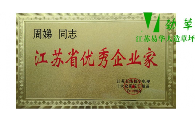 江蘇易華人造草坪董事長獲優(yōu)秀企業(yè)家稱號